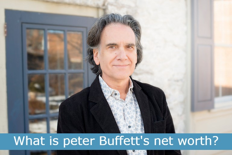 peter buffetts net worth