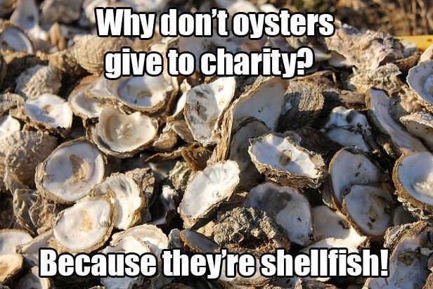 funny oyster memes and jokes